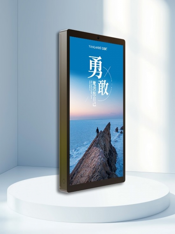 钣金箱600×1200单面LED灯杆屏